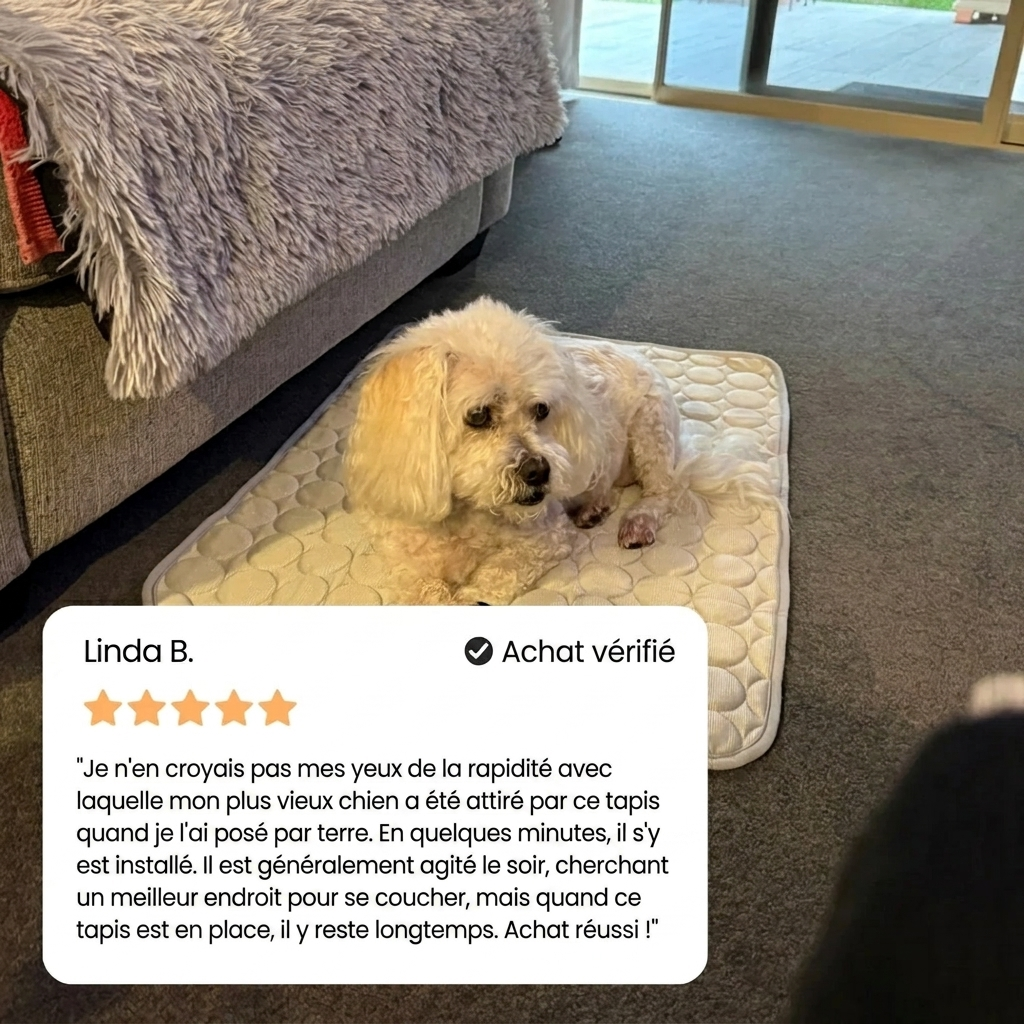 Protégez votre chien de la surchauffe et des risques liés au stress thermique avec IcyNap