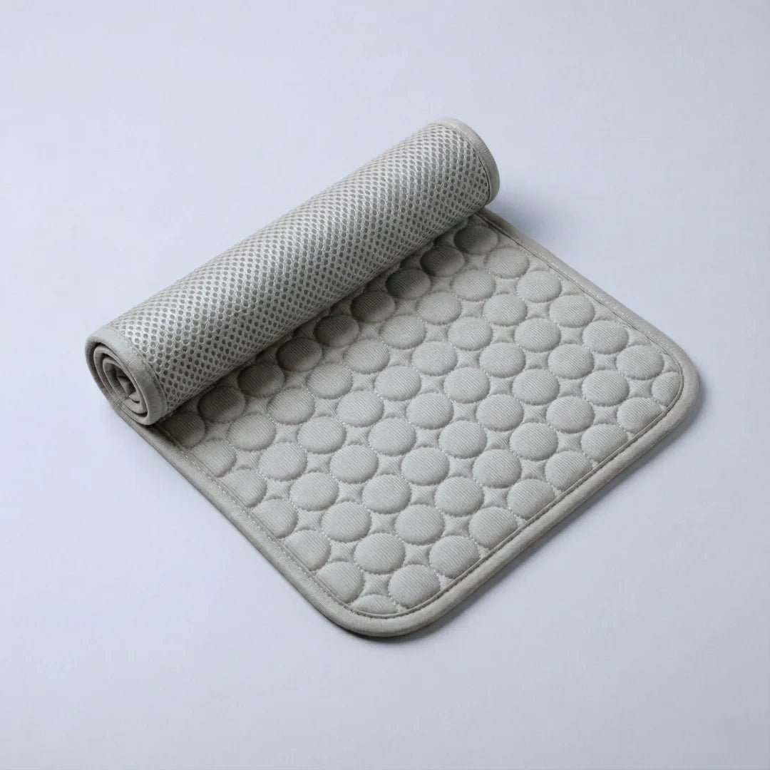 Protégez votre chien de la surchauffe et des risques liés au stress thermique avec IcyNap