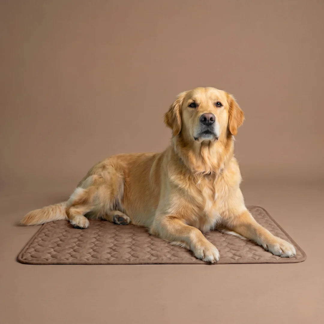 Tapis rafraîchissant pour chien Icynap en tissu ice-silk à refroidissement continu