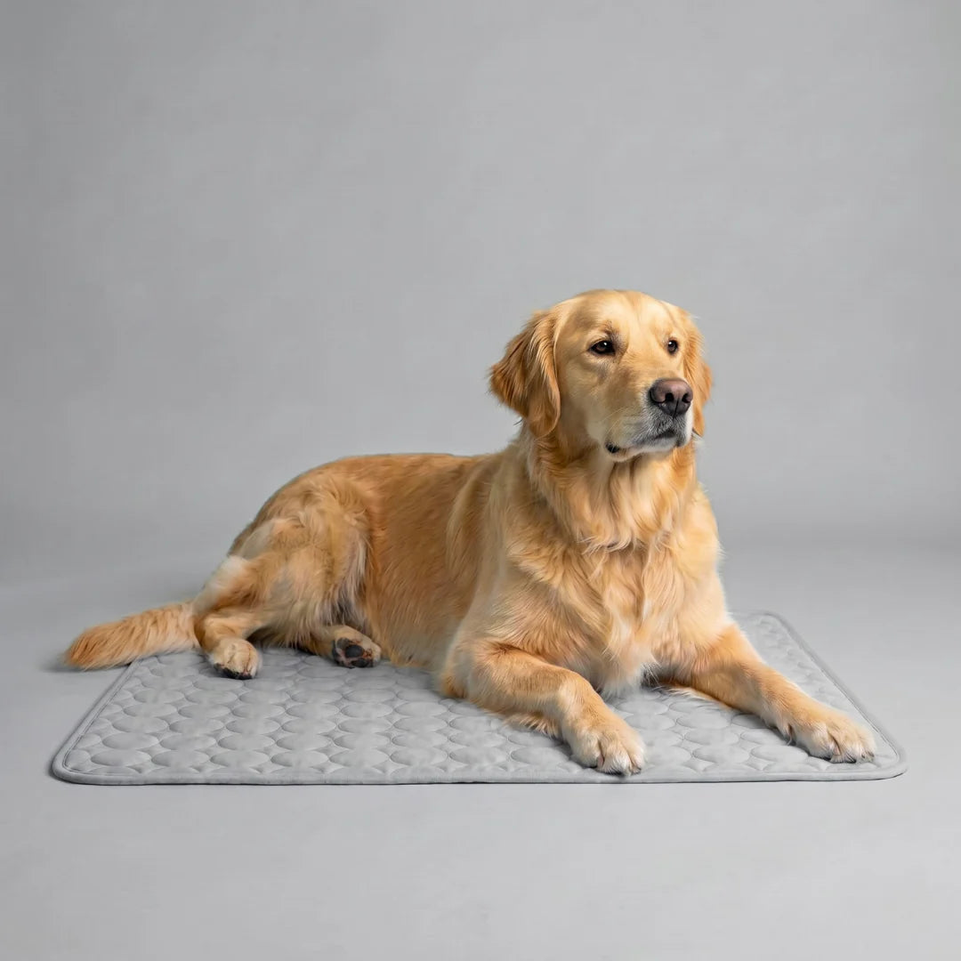 Tapis rafraîchissant pour chien Icynap en tissu ice-silk à refroidissement continu