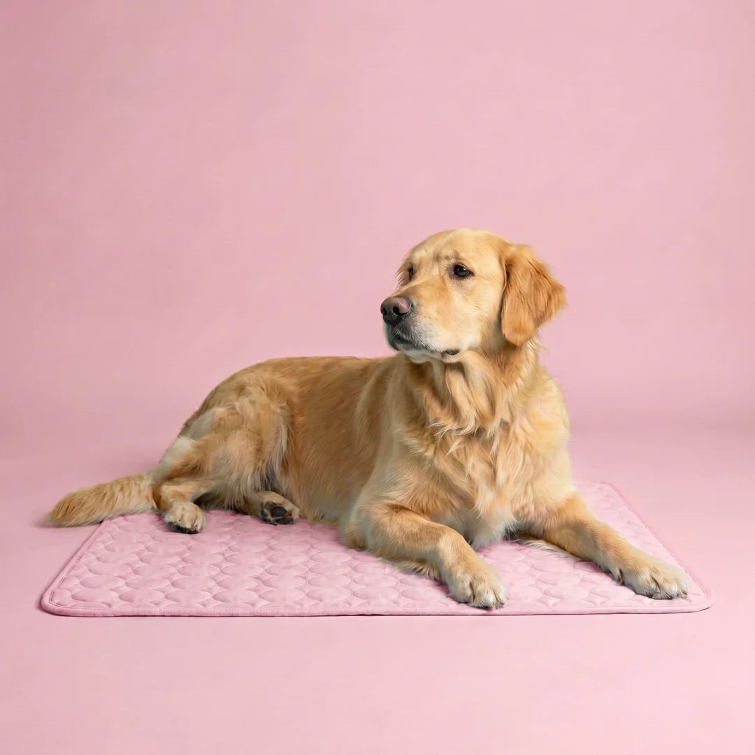 Tapis rafraîchissant pour chien Icynap en tissu ice-silk à refroidissement continu