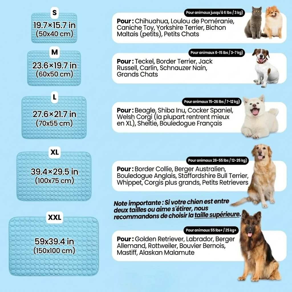 Protégez votre chien de la surchauffe et des risques liés au stress thermique avec IcyNap