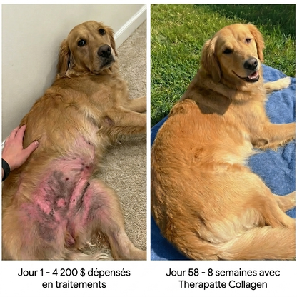 Therapatte Collagène Liquide Premium