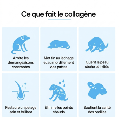 Therapatte Collagène Liquide Premium