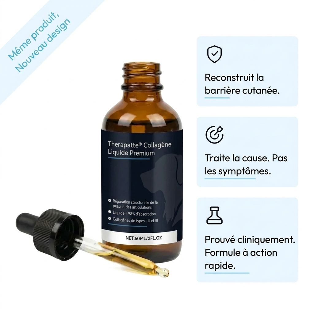 Therapatte Collagène Liquide Premium