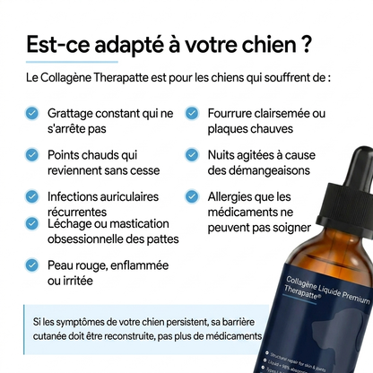 Therapatte Collagène Liquide Premium