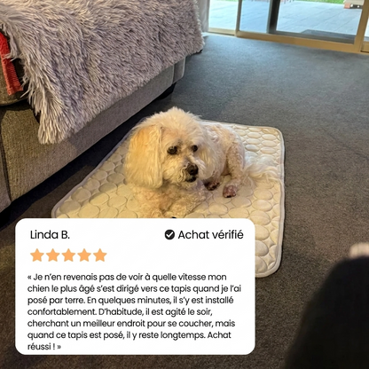 Tapis rafraîchissant pour chien Icynap en tissu ice-silk à refroidissement continu