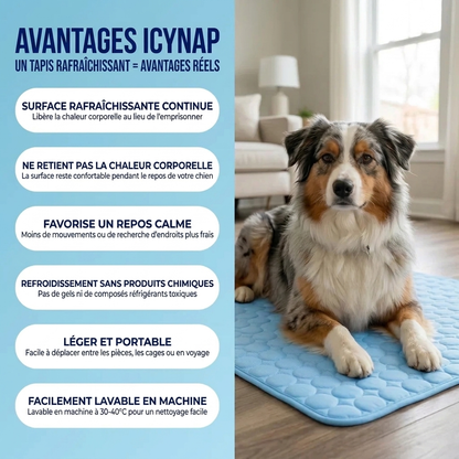 Tapis rafraîchissant pour chien Icynap en tissu ice-silk à refroidissement continu
