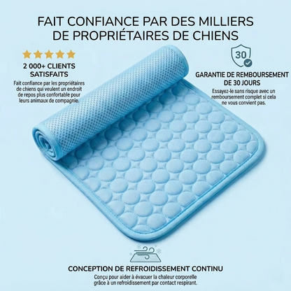 Tapis rafraîchissant pour chien Icynap en tissu ice-silk à refroidissement continu