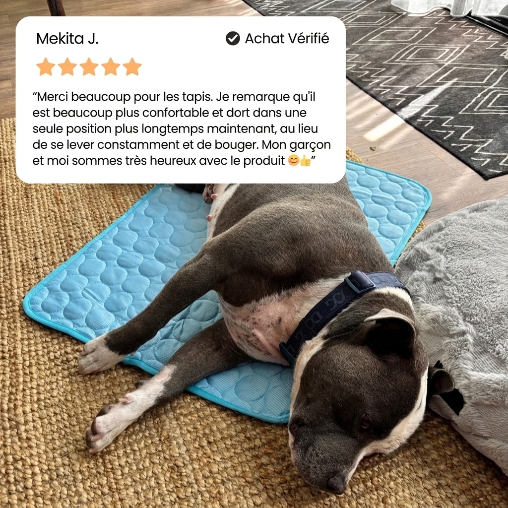 Tapis rafraîchissant pour chien Icynap en tissu ice-silk à refroidissement continu