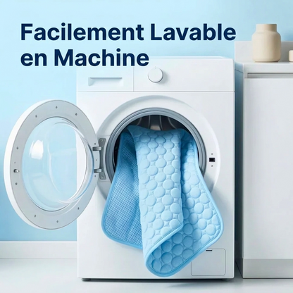 Tapis rafraîchissant pour chien Icynap en tissu ice-silk à refroidissement continu