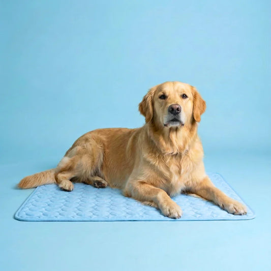 Tapis rafraîchissant pour chien Icynap en tissu ice-silk à refroidissement continu